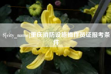 宜阳重庆消防设施操作员证报考条件