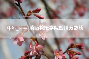 宜阳消防救援学院四川分数线