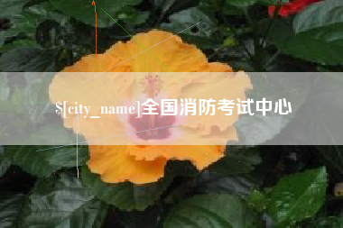 宜阳全国消防考试中心