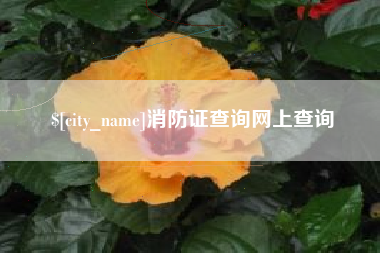 宜阳消防证查询网上查询