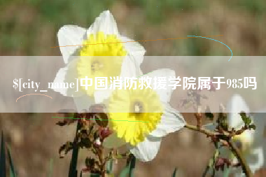 宜阳中国消防救援学院属于985吗
