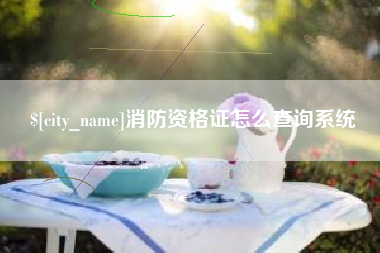 宜阳消防资格证怎么查询系统