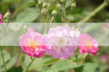 宜阳第九金是