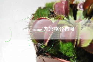 宜阳九宫格分布图