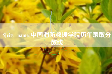宜阳中国消防救援学院历年录取分数线