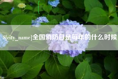 宜阳全国消防日是每年的什么时候