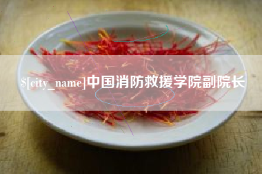 宜阳中国消防救援学院副院长