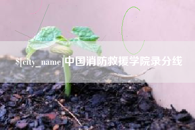 宜阳中国消防救援学院录分线