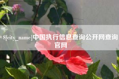 宜阳中国执行信息查询公开网查询官网