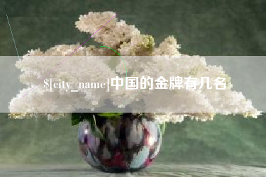 宜阳中国的金牌有几名