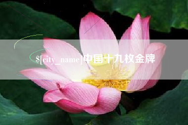 宜阳中国十九枚金牌