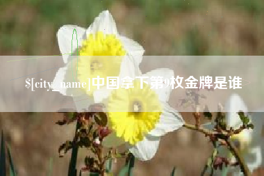 宜阳中国拿下第9枚金牌是谁