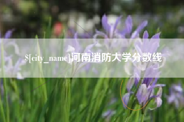 宜阳河南消防大学分数线