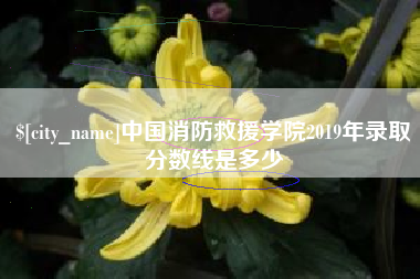 宜阳中国消防救援学院2019年录取分数线是多少