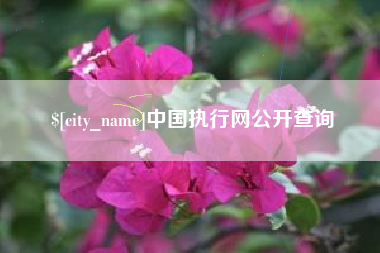 宜阳中国执行网公开查询