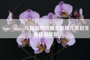 宜阳中国消防救援学院简介及招生章程指挥部