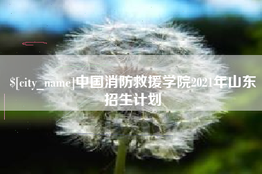 宜阳中国消防救援学院2021年山东招生计划