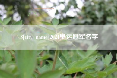 宜阳2024奥运冠军名字