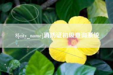 宜阳消防证初级查询系统