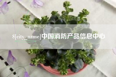宜阳中国消防产品信息中心