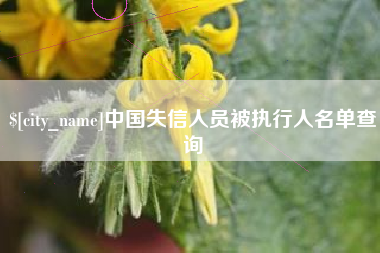 宜阳中国失信人员被执行人名单查询