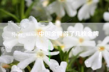 宜阳中国金牌得了几枚金牌