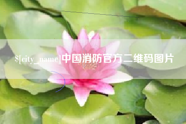 宜阳中国消防官方二维码图片