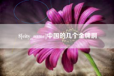 宜阳中国的几个金牌啊