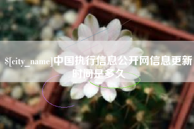 宜阳中国执行信息公开网信息更新时间是多久