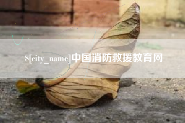 宜阳中国消防救援教育网