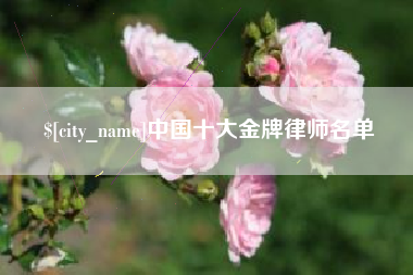 宜阳中国十大金牌律师名单