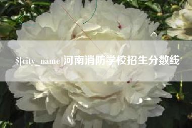 宜阳河南消防学校招生分数线