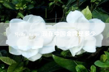 宜阳现在中国金牌是多少