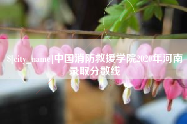 宜阳中国消防救援学院2020年河南录取分数线