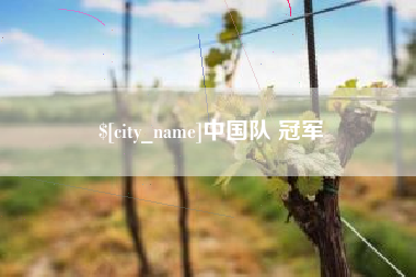 宜阳中国队 冠军