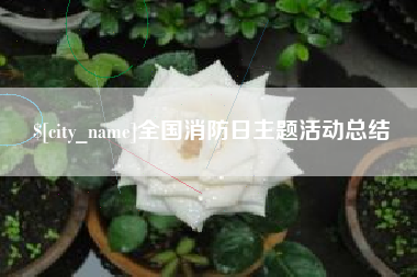 宜阳全国消防日主题活动总结