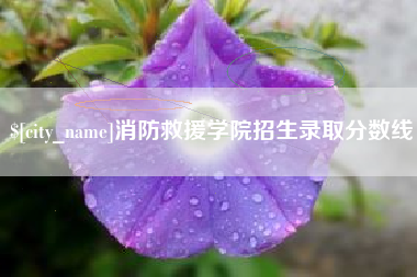 宜阳消防救援学院招生录取分数线