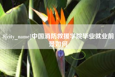 宜阳中国消防救援学院毕业就业前景如何