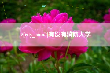 宜阳有没有消防大学