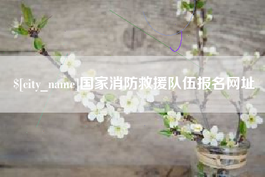 宜阳国家消防救援队伍报名网址