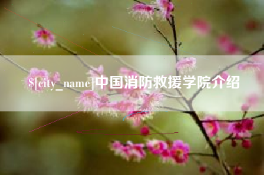 宜阳中国消防救援学院介绍