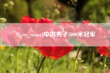 宜阳中国男子5000米冠军