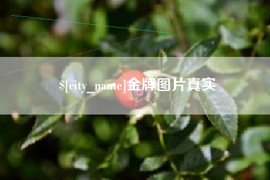 宜阳金牌图片真实