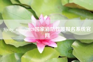 宜阳2020国家消防救援报名系统官网