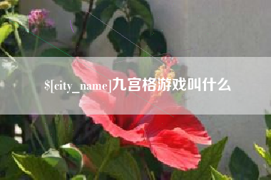 宜阳九宫格游戏叫什么