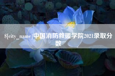 宜阳中国消防救援学院2021录取分数