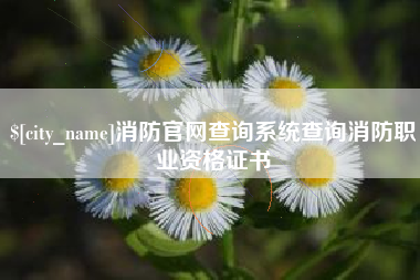 宜阳消防官网查询系统查询消防职业资格证书