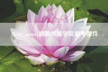 宜阳消防救援学院报考条件