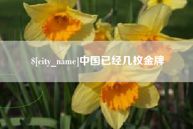宜阳中国已经几枚金牌