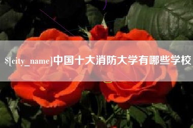 宜阳中国十大消防大学有哪些学校